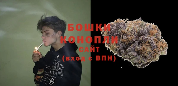 apvp Бикин