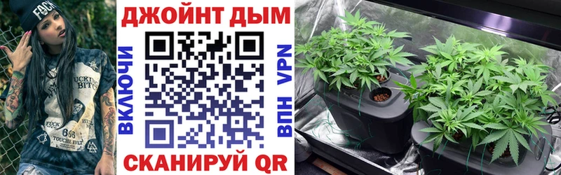 Канабис сатива Новоаннинский